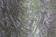 Upton End fibreglass roof work